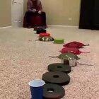 This ping pong trick shot