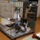 Kät and Köt, Twin Vortex of doom.