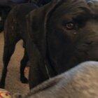 Miss Diva. Sound on.