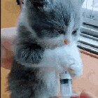 “Waaaaait i wasn’t done yet!”