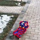 Kitty practice lion dance for the Chinese New Year
