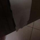 Both stalls share one roll of toilet paper...