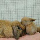 Just washing up mom!