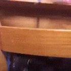 Now You See Me. Now you . . . wtf?