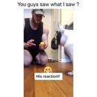 The look of astonishment