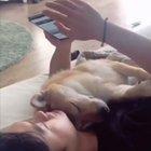 That stare though...