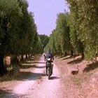 I was looking through my Google photos and found this masterpiece