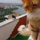 Shut up! No, you shut up!