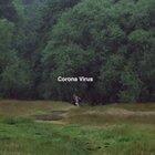 Who saw the Corona Virus coming...