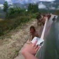 From 1 to 10 how cruel is this?