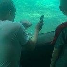 Seal at the Zoo loves my smartphone pics!