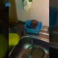 I don't understand why did they connect gas pipe to water pipe?