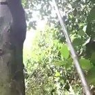 It’s the second one you gotta watch