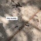 Снимите мой шлем