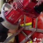 Good thing there kid had a big head.