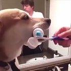 Let me help you with that!