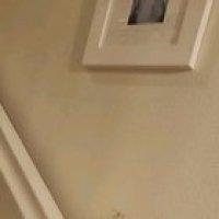 He then chased me into my room, and I killed him with a sandal.