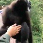 I love this lil fella