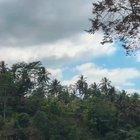 Why background music is important