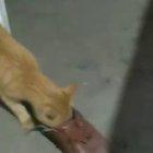 This is your house. Stay here!!!