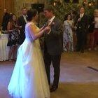 My Wedding Spirit Animal