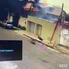 Two Birds, One Electric Line