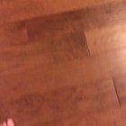 I hope this isn't an omen...