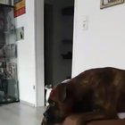 Just in case you didn’t hear it the first time, he’s got your back 😂