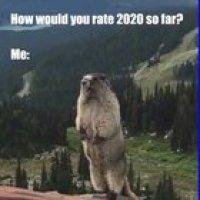 Thanks, I hate 2020 so far