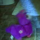 5th day in quarantine...