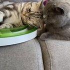 These two💚 happy Saturday