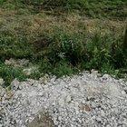 Having a Relaxing caravan holiday in Cornwall.