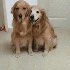 When your partner is shy to take a picture together