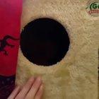 First video of black hole resurfaced..