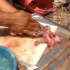 Just preparing dinner... when ...