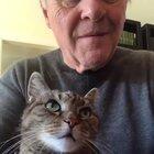 Anthony Hopkins plays piano for his cat, Niblo