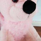 I probably could have skipped the flowers...