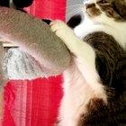 The look of rejection