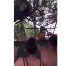 Going wild with friends!