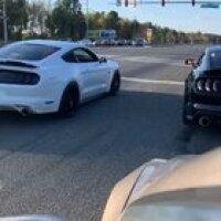 You cannot escape egg gang caw caw