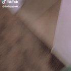 Don&rsquo;t mess with the dog