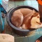 Ohhhh yeah: THAT'S WHAT I'M TALKING ABOUT