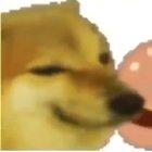 Cheemsburger (did an oopsie)