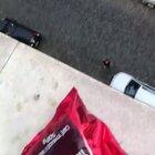 HMB while I catch this bag of coffee