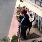 Italy, fourth day of mandatory quarantine. Slight signs of breakdown in forced cohabitation.