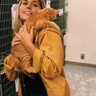 Melts my heart to see this person adopting this cat!