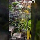 Rate the song 1 - 100!