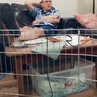 This dad did not want a puppy