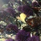 🔥 Take a look under the water 🔥