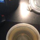 Clear orbeez in water